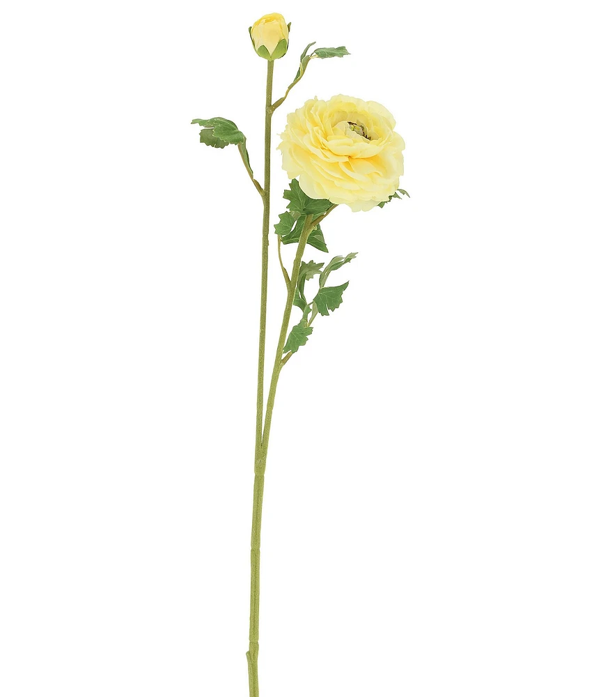 Mark Roberts Ranunculus-Yellow- 23#double; Box Set Of 12