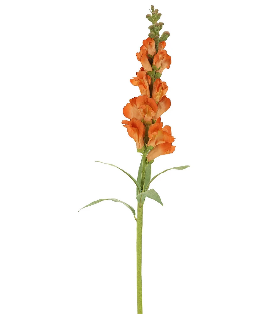 Mark Roberts Snap Dragon Orange, Box Set of 12