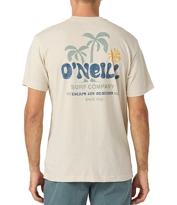 O'Neill Loose Short Sleeve T-Shirt