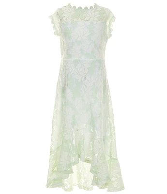 Poppies and Roses Big Girls Lace High-Low Dress