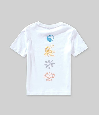 Quiksilver Little Boys Short Sleeve Natural Order Graphic T-Shirt