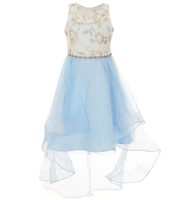 Rare Editions Big Girls Embroidered Mesh Ilusion Bodice/Mesh-Skirted High-Low-Hem Ballgown