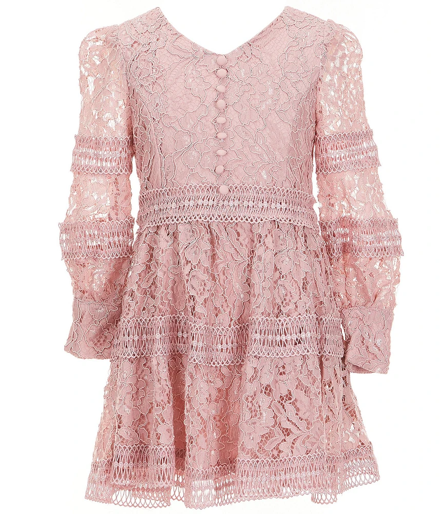 Rare Editions Big Girls Long-Sleeve Patterned Lace Fit & Flare Dress