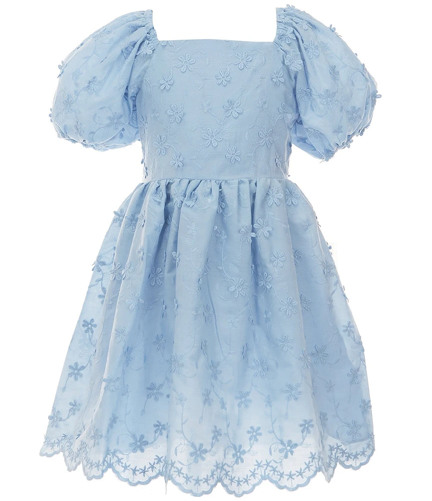 Rare Editions Big Girls Short Puff Sleeves Floral Embroidered Bodice Dress