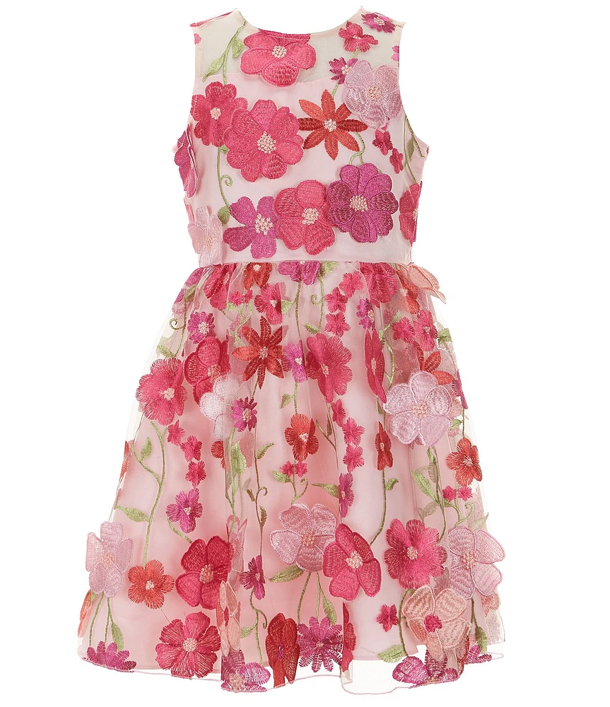 Rare Editions Big Girls Sleeveless Embroidered-Floral-Applique Fit & Flare Dress