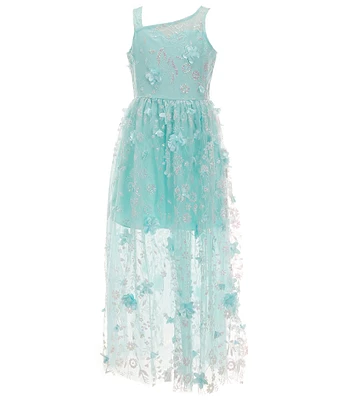 Rare Editions Big Girls Sleeveless Floral Glitter Mesh Long Dress