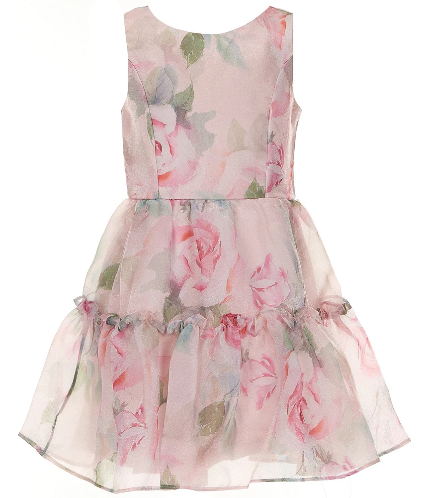 Rare Editions Big Girls Sleeveless Floral Printed Organza Fit-And-Flare Dress