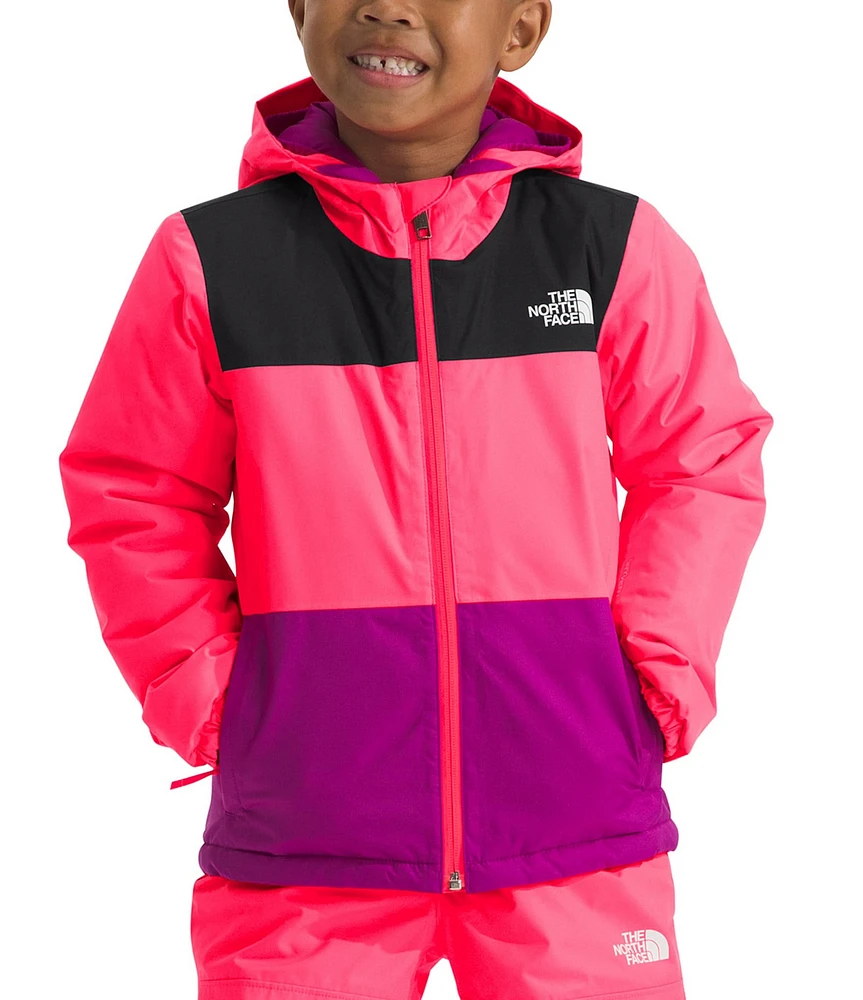 The North Face Little Kids Long Sleeve Freedom Insulated Ski Jacket
