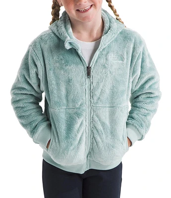 The North Face Little Kids Long Sleeve Osito Full-Zip Fleece Hoodie