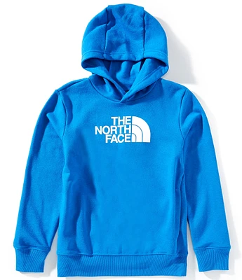 The North Face Little/Big Boys Long Sleeve Half Dome Climate-Conscious Hoodie