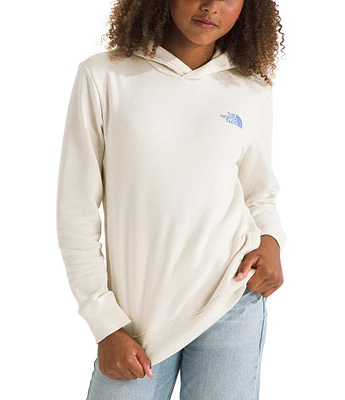 The North Face Teen Long Sleeve Box NSE Graphic Pullover Hoodie