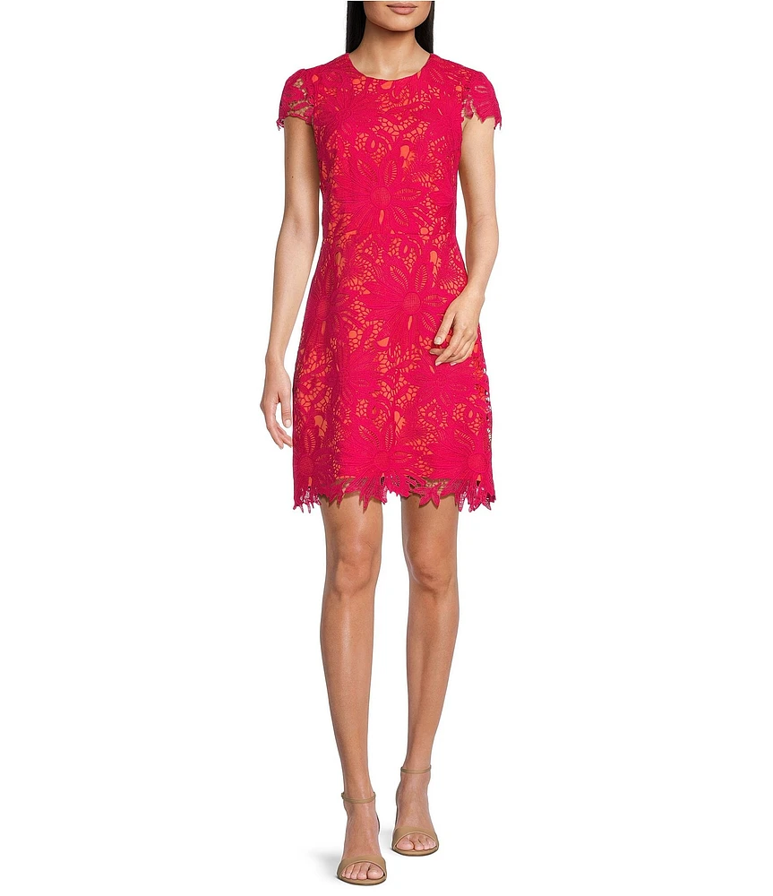 Vince Camuto Lace Round Neck Cap Sleeve Fit and Flare Dress