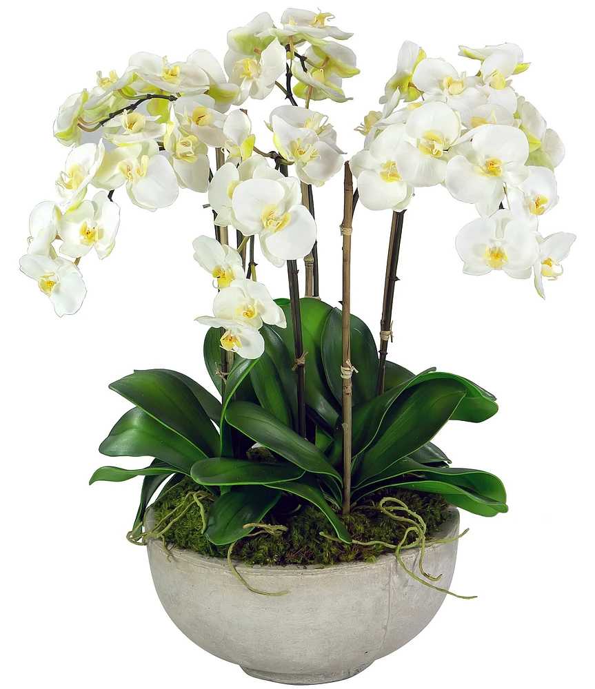 Winward Permanent Botanicals White Orchids In Ceramic Bowl