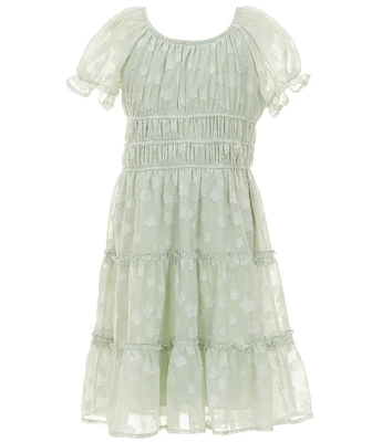 Xtraordinary Big Girls Puffed-Sleeve Clip-Dotted Chiffon Fit & Flare Dress