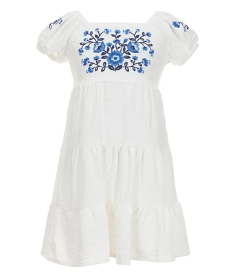 Xtraordinary Little Girls Floral Embroidered Knee Length Dress