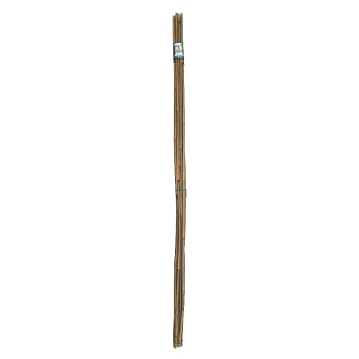 Paq. de 6 piquets en bambou