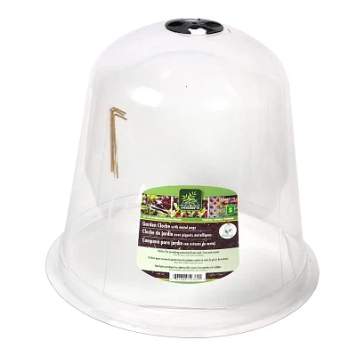 Grande cloche protectrice pour plante