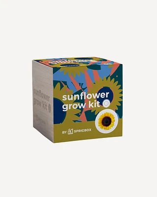 Sunflower Grow Kit