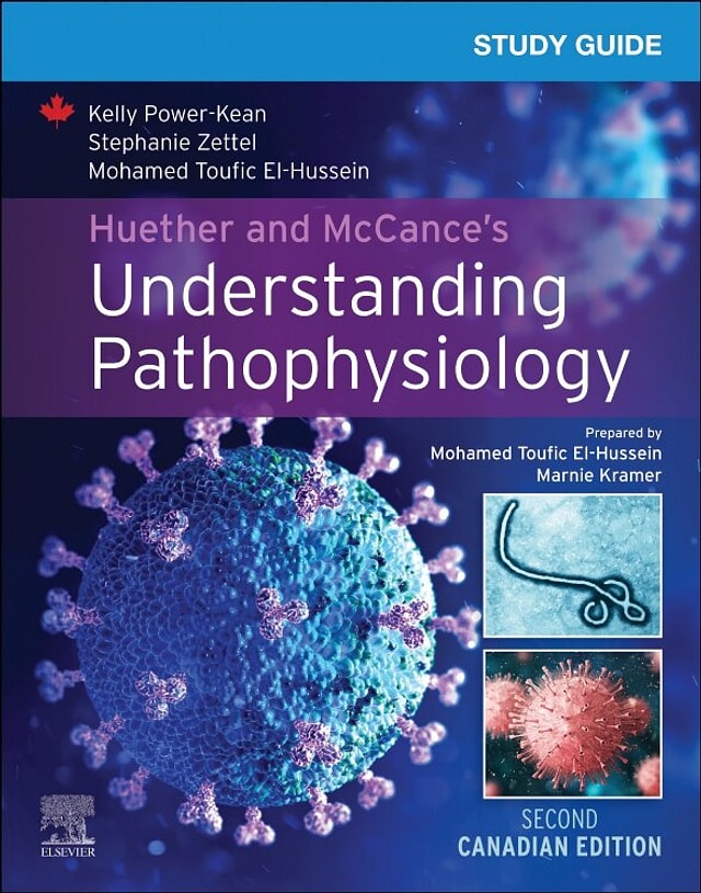 Study Guide For Huether And Mccance's Understanding Pathophysiology Canadian Edition by Kelly Power-kean, Paperback | Indigo Chapters