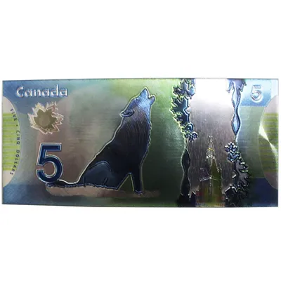 Fake $5 Canadian Dollar Bill Magnet
