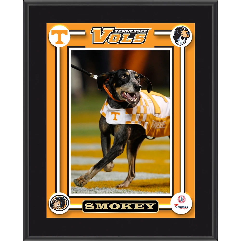 Tennessee Volunteers Smokey Dog Mascot 10.5'' x 13'' Sublimated Plaque