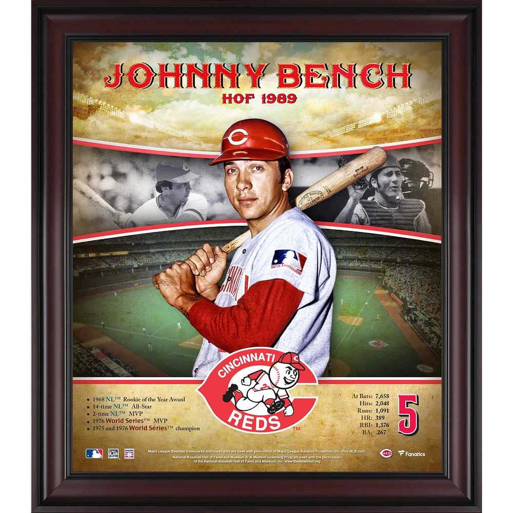 Johnny Bench Cincinnati Reds Framed 15" x 17" Hall of Fame Career Profile