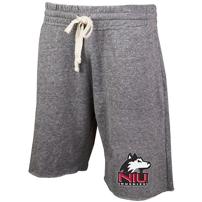 Men's Concepts Sport Gray Northern Illinois Huskies Mainstream Terry Shorts