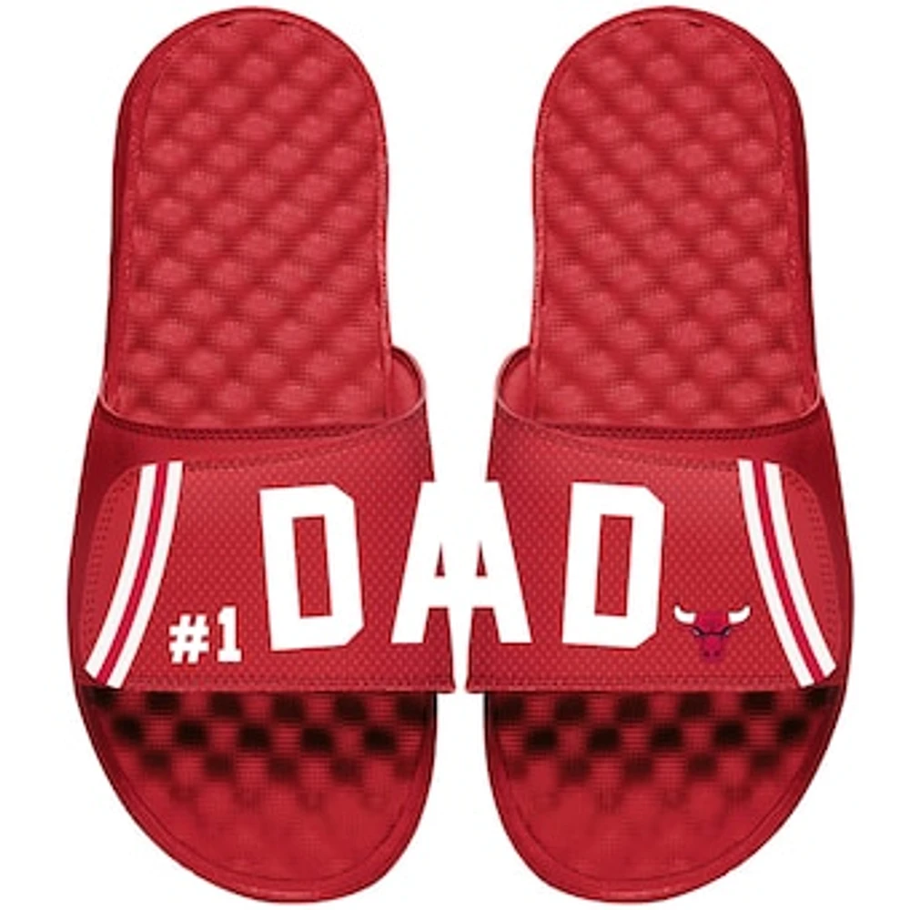 Chicago Bulls ISlide Dad Slide Sandals - Red