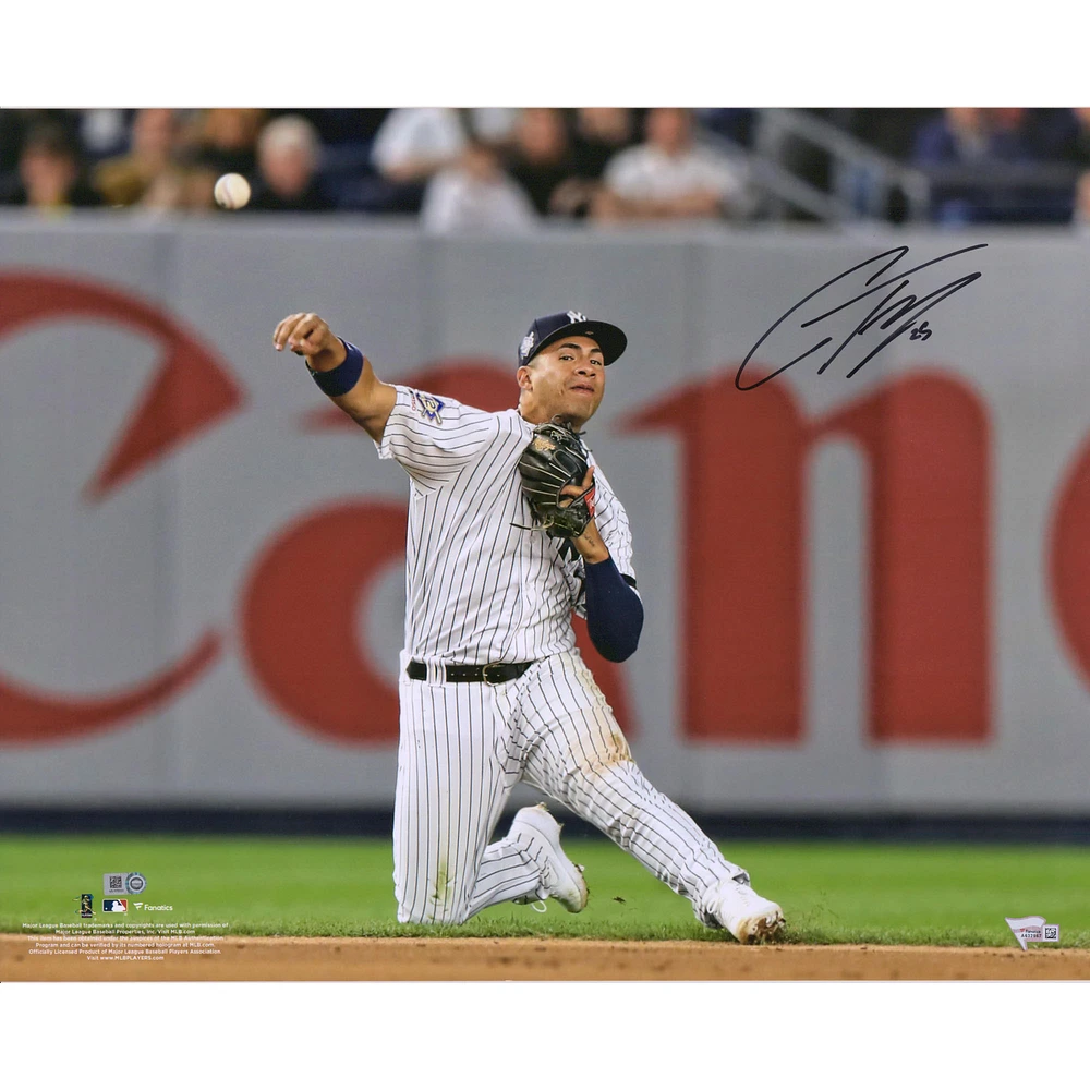 Gleyber Torres New York Yankees Autographed 16" x 20" Throwing Photograph