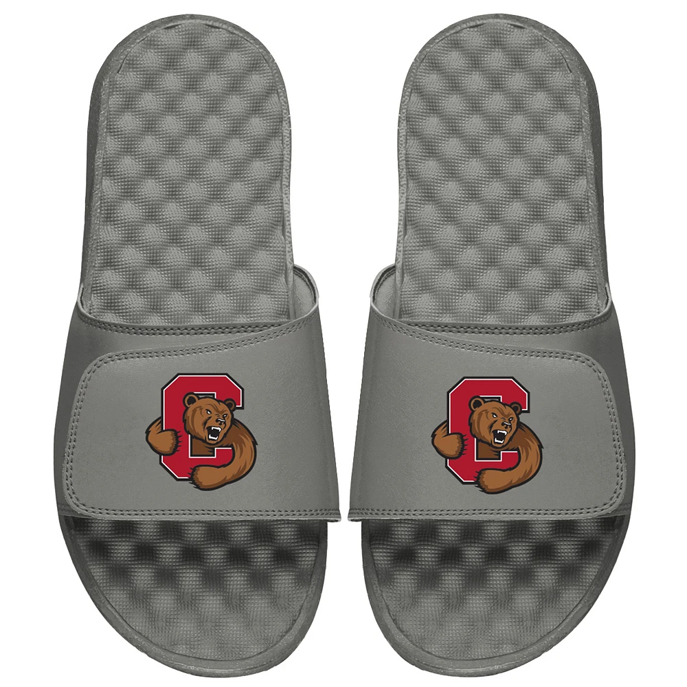 Youth ISlide Gray Cornell Big Red Primary Logo Slide Sandals