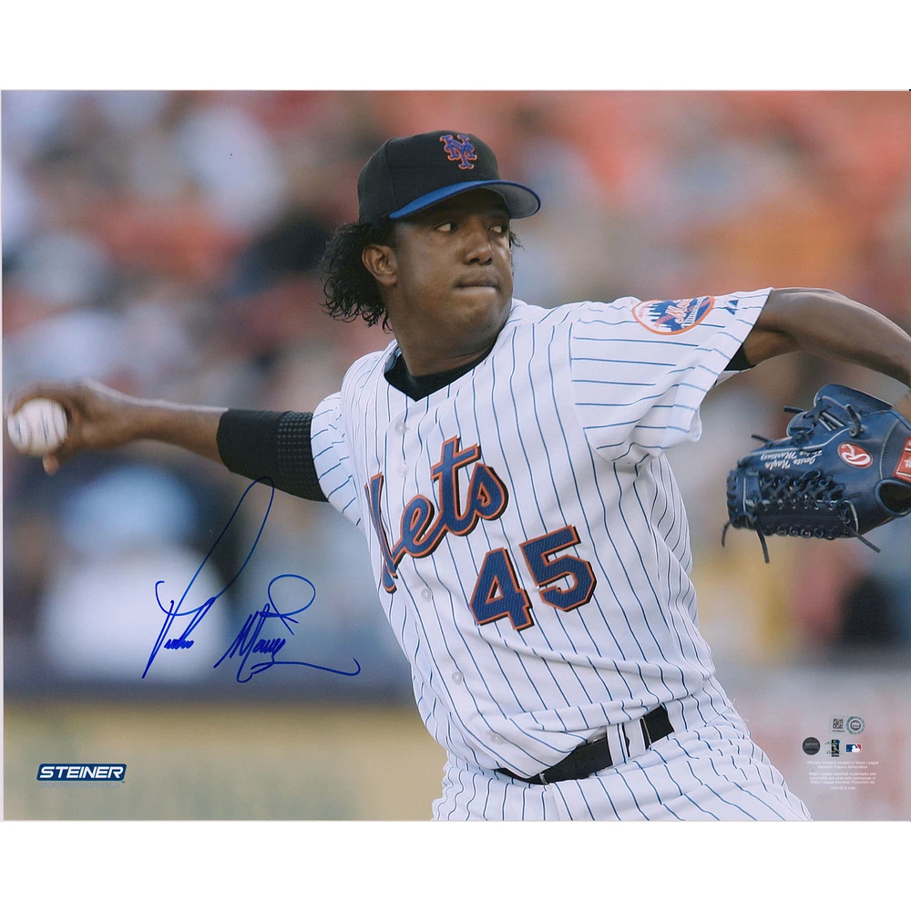Pedro Martinez New York Mets Autographed 16" x 20" Pitching Photograph