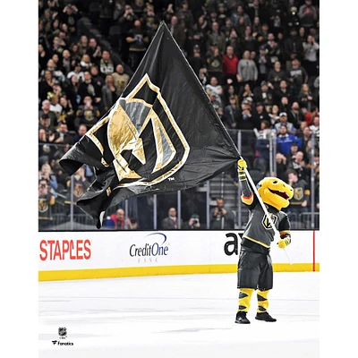 Chance Vegas Golden Knights Unsigned Waving Flag Photograph