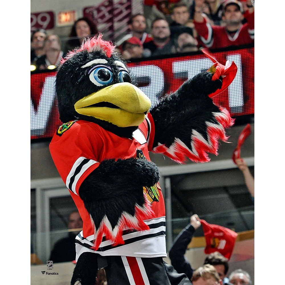 Tommy Hawk Chicago Blackhawks Unsigned Crowd Celebration Photograph