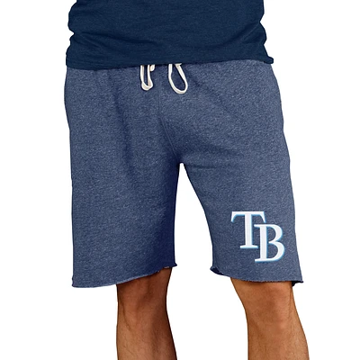 Men's Concepts Sport Navy Tampa Bay Rays Mainstream Terry Shorts