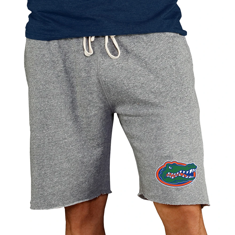 Men's Concepts Sport Gray Florida Gators Mainstream Terry Shorts