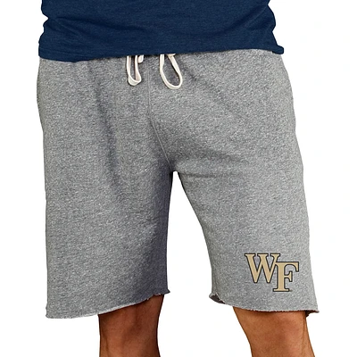 Men's Concepts Sport Gray Wake Forest Demon Deacons Mainstream Terry Shorts