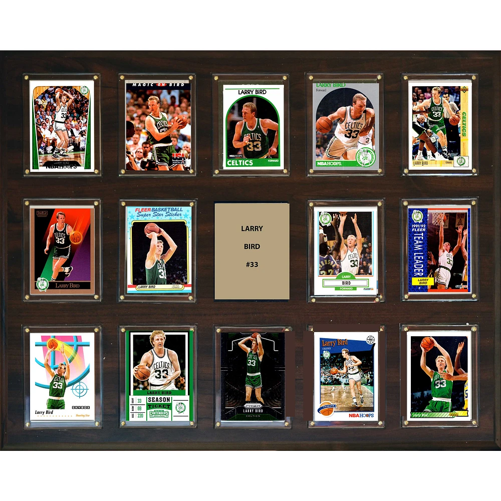 Larry Bird Boston Celtics 16'' x 20'' Plaque