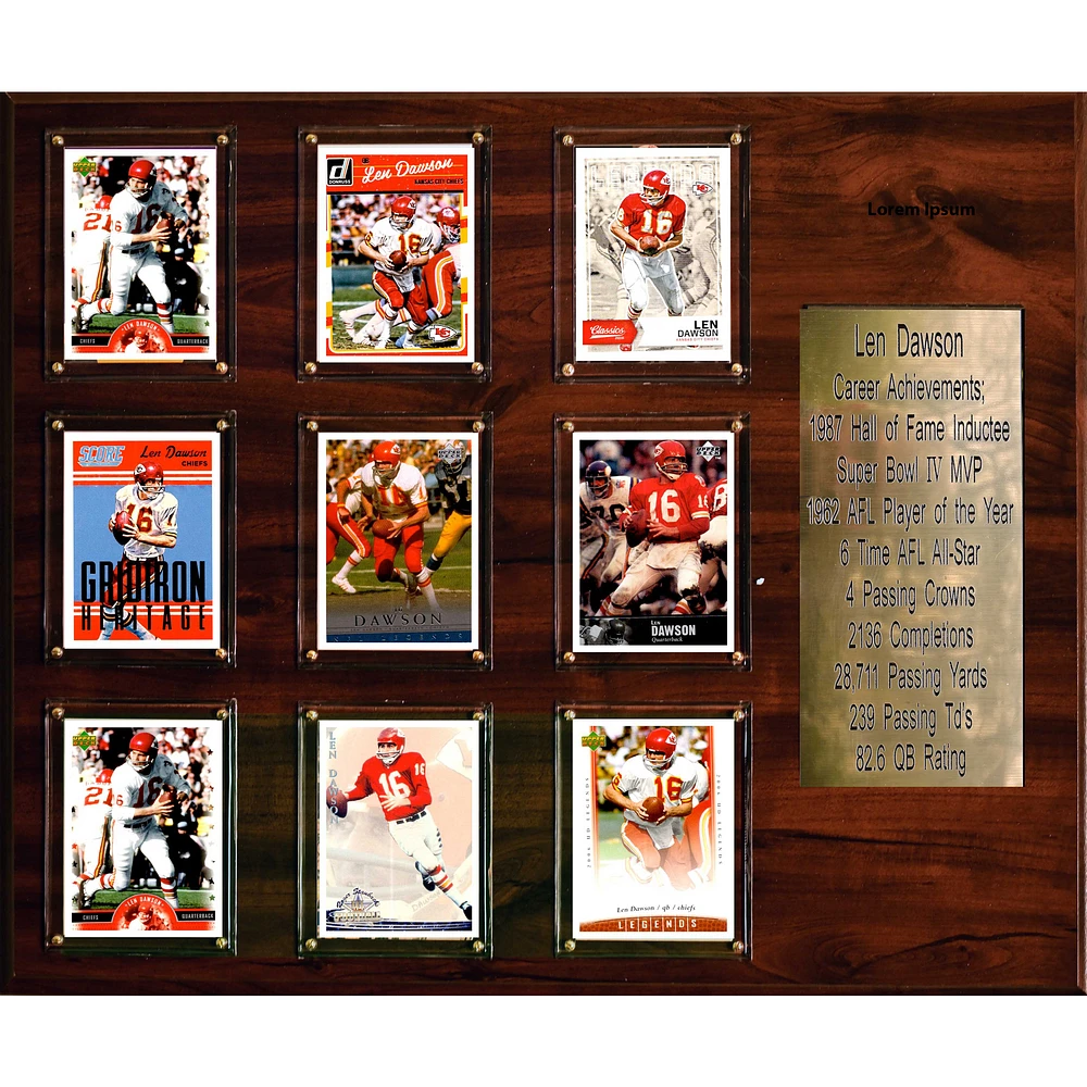 Len Dawson Kansas City Chiefs 15'' x 18'' Plaque