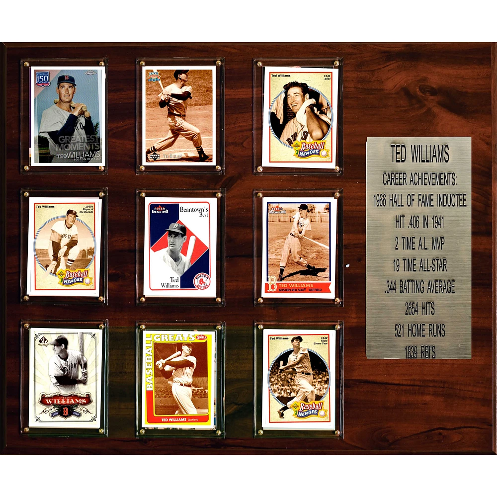 Ted Williams Boston Red Sox 15'' x 18'' Plaque