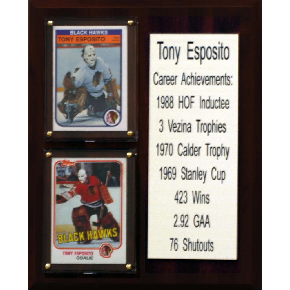 Tony Esposito Chicago Blackhawks 8'' x 10'' Team Plaque