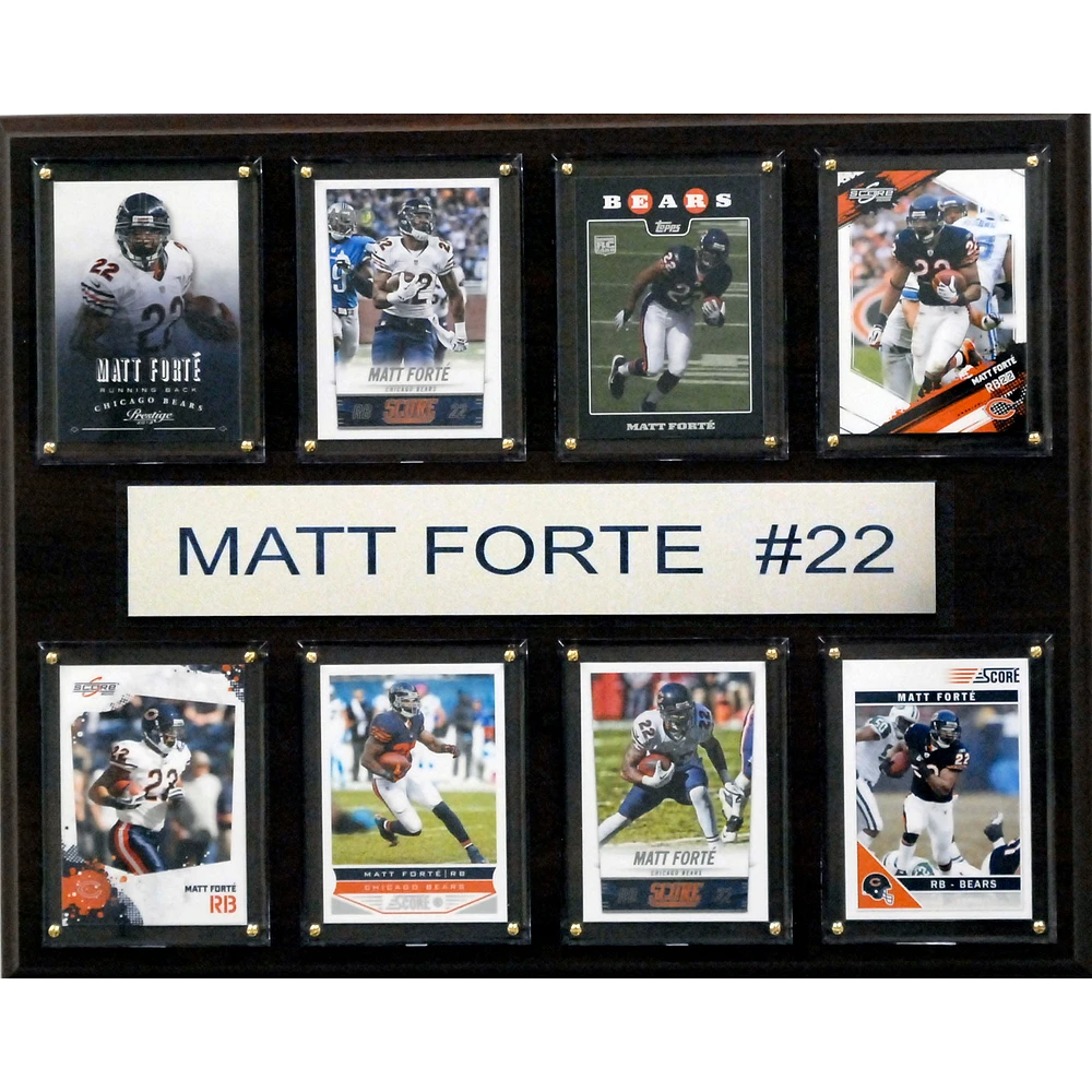 Matt Forte Chicago Bears 12'' x 15'' Plaque