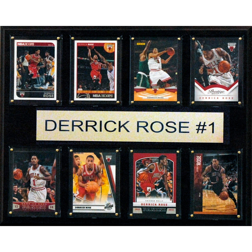 Chicago Bulls 12'' x 15'' Plaque