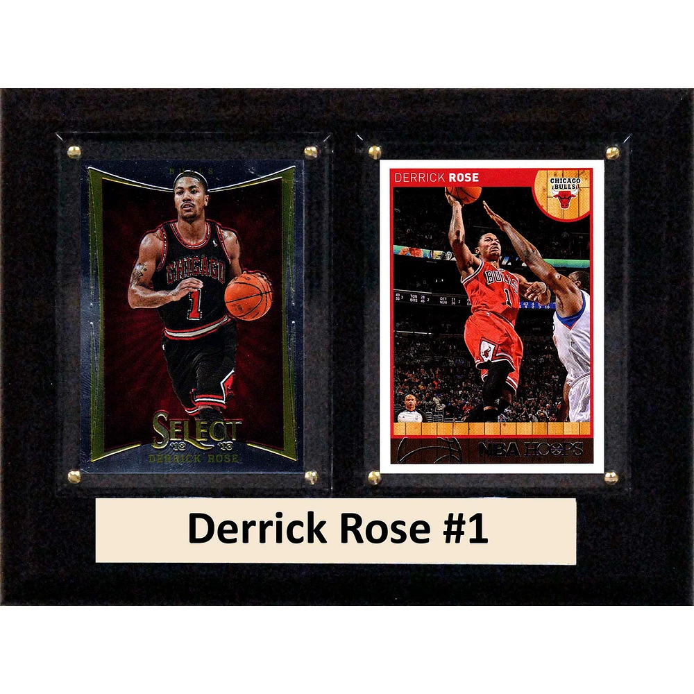 Chicago Bulls 6'' x 8'' Plaque