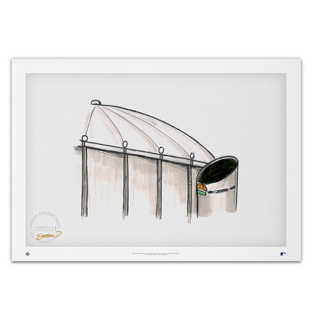Tampa Bay Rays 20'' x 14'' Tropicana Field Limited Edition Fine Art Print