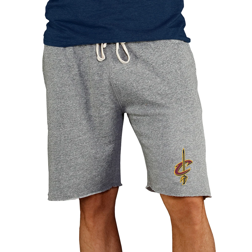 Men's Concepts Sport Gray Cleveland Cavaliers Mainstream Terry Shorts