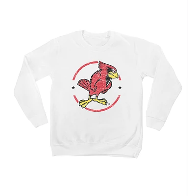 Youth White Illinois State Redbirds End Zone Pullover Sweatshirt