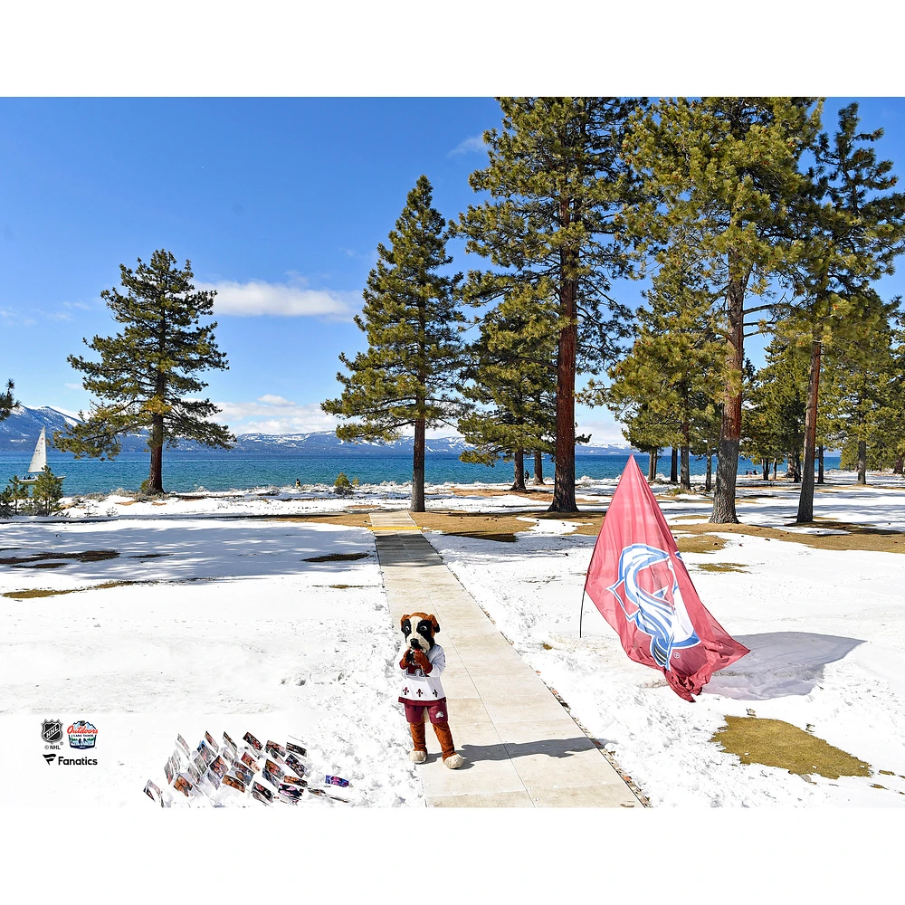 Bernie the St. Bernard Colorado Avalanche Unsigned 2021 Outdoors at Lake Tahoe Photograph