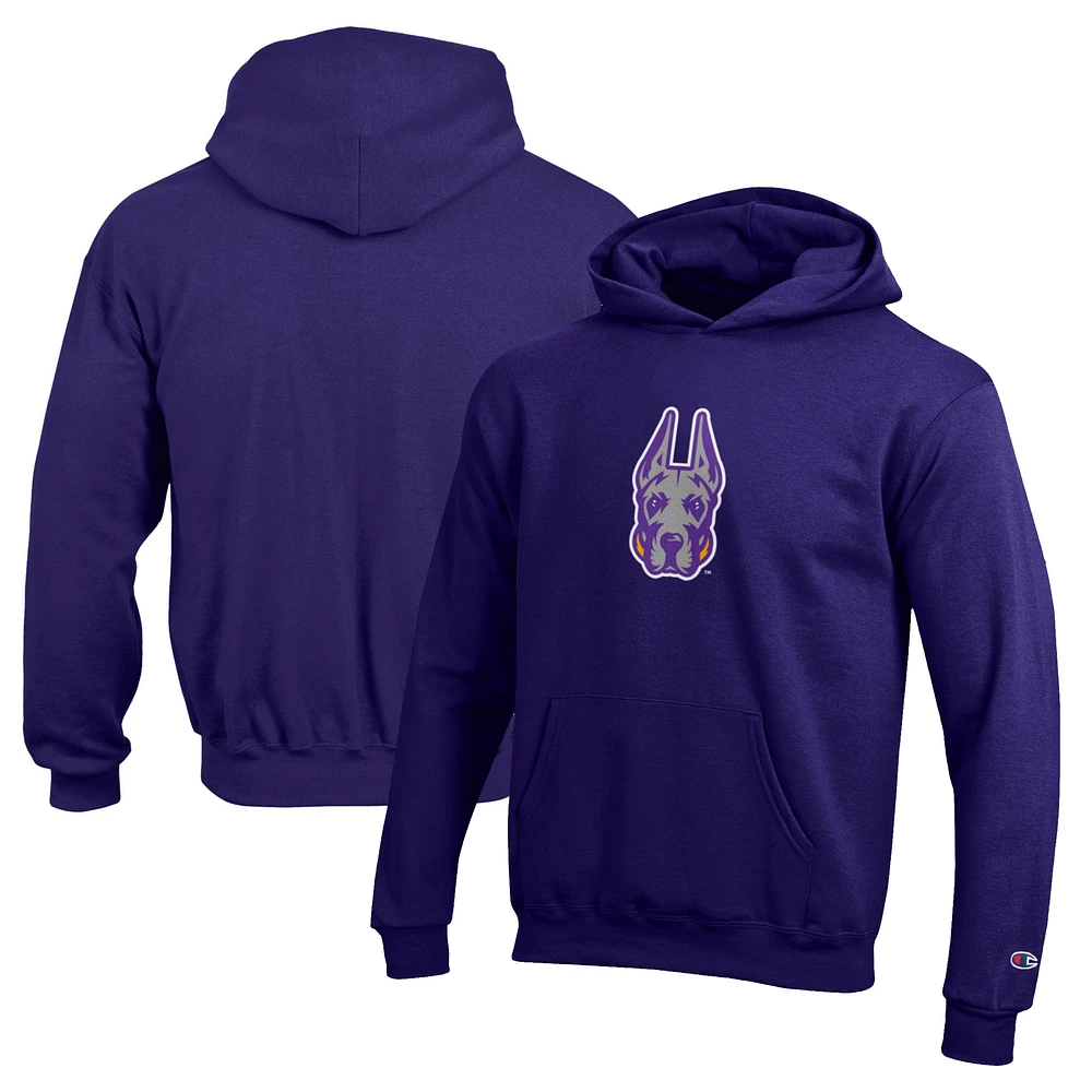 Youth Champion Purple Albany Great Danes Eco Powerblend Pullover Hoodie