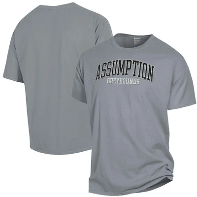 Men's ComfortWash Gray Assumption Greyhounds Garment Dyed T-Shirt