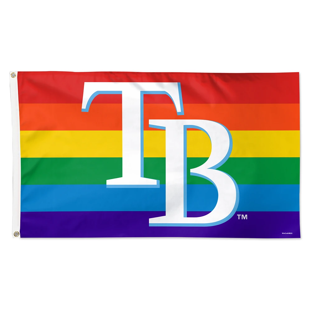WinCraft Tampa Bay Rays 3' x 5' Single-Sided Deluxe Team Pride Flag